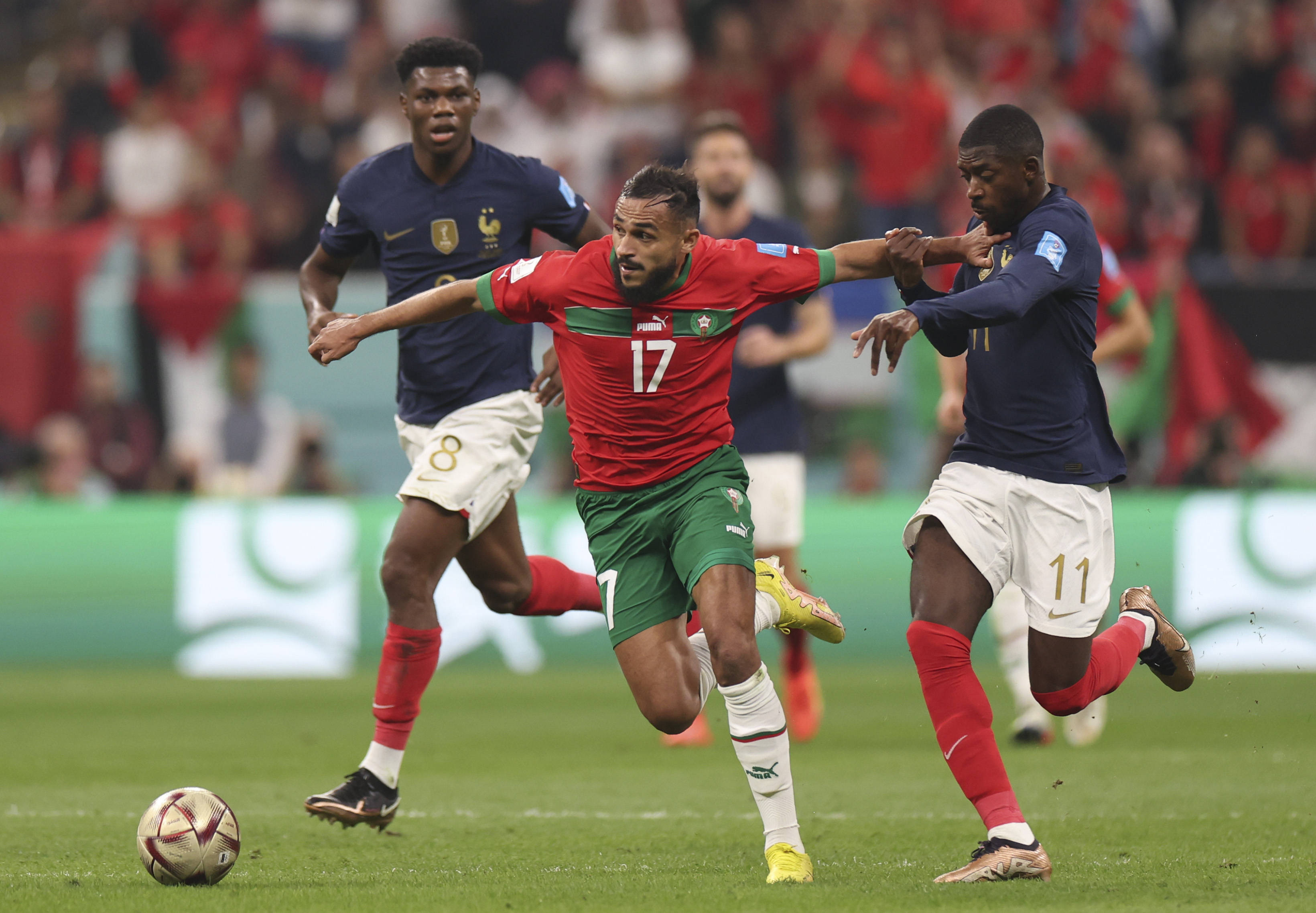 也展示了他 也展示了他