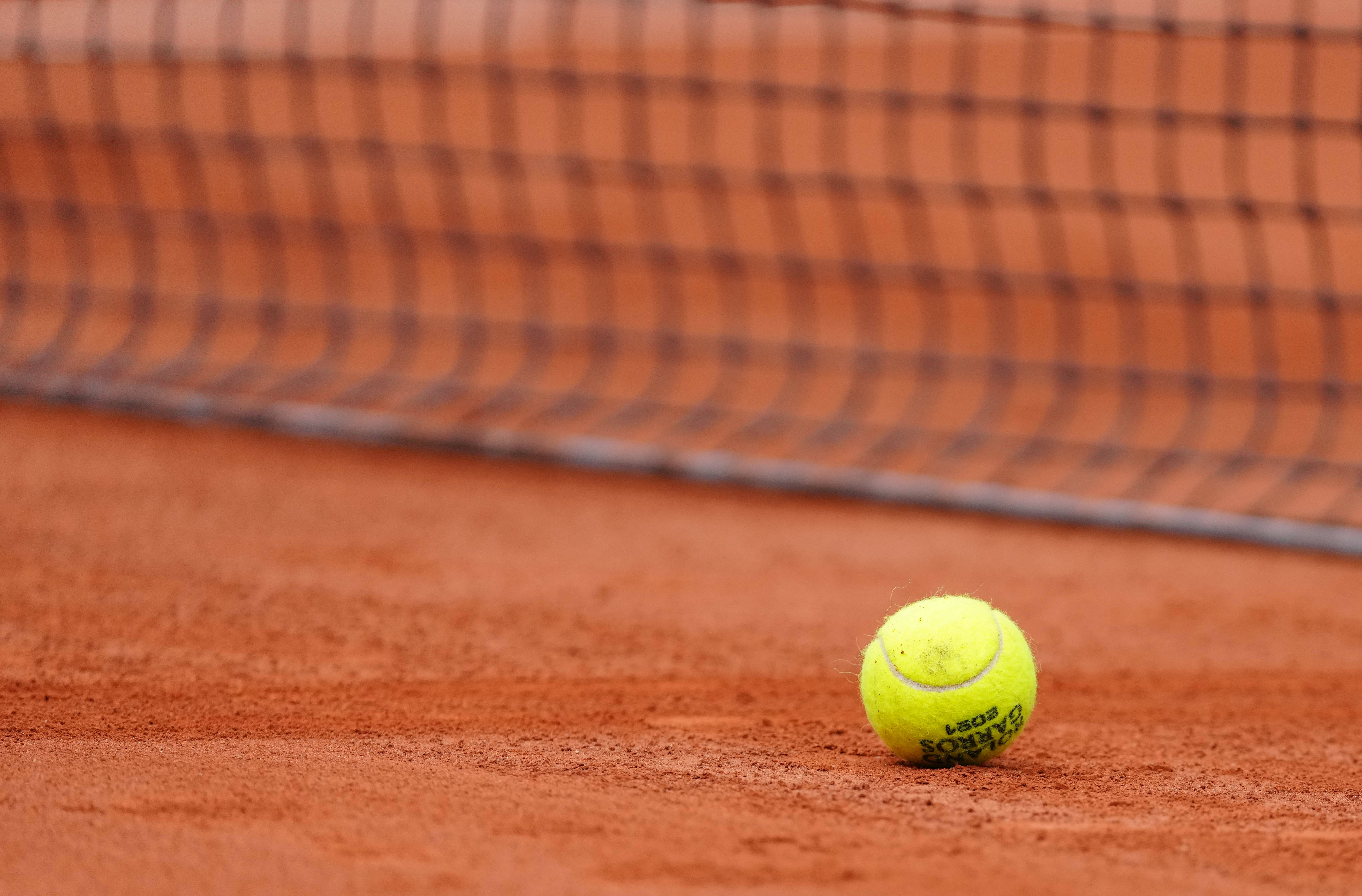 似乎抱有极 似乎抱有极