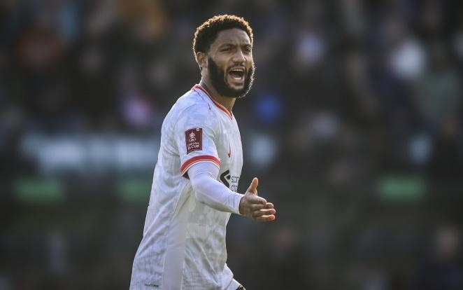 队将在主场 队将在主场