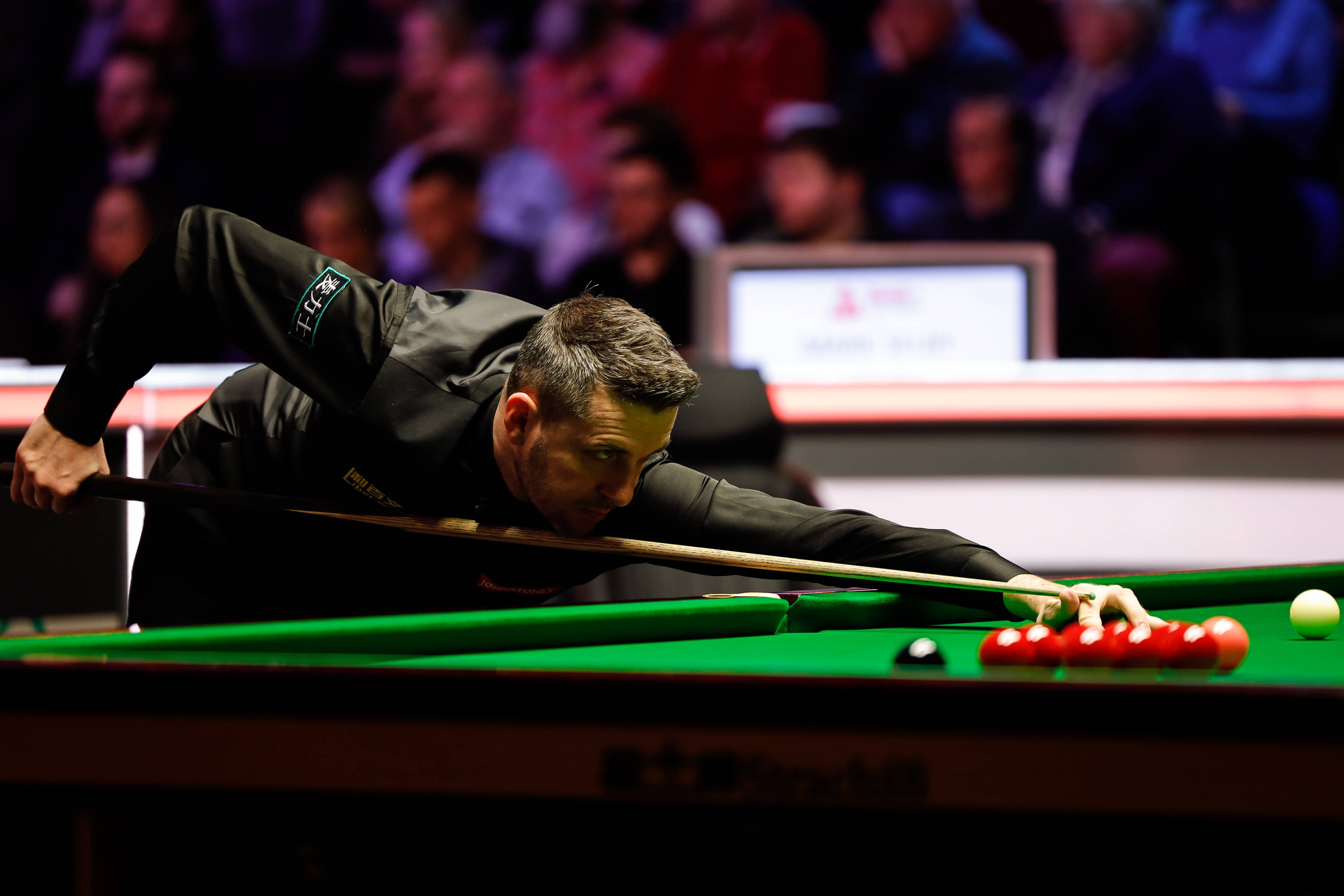 不在数量而 不在数量而