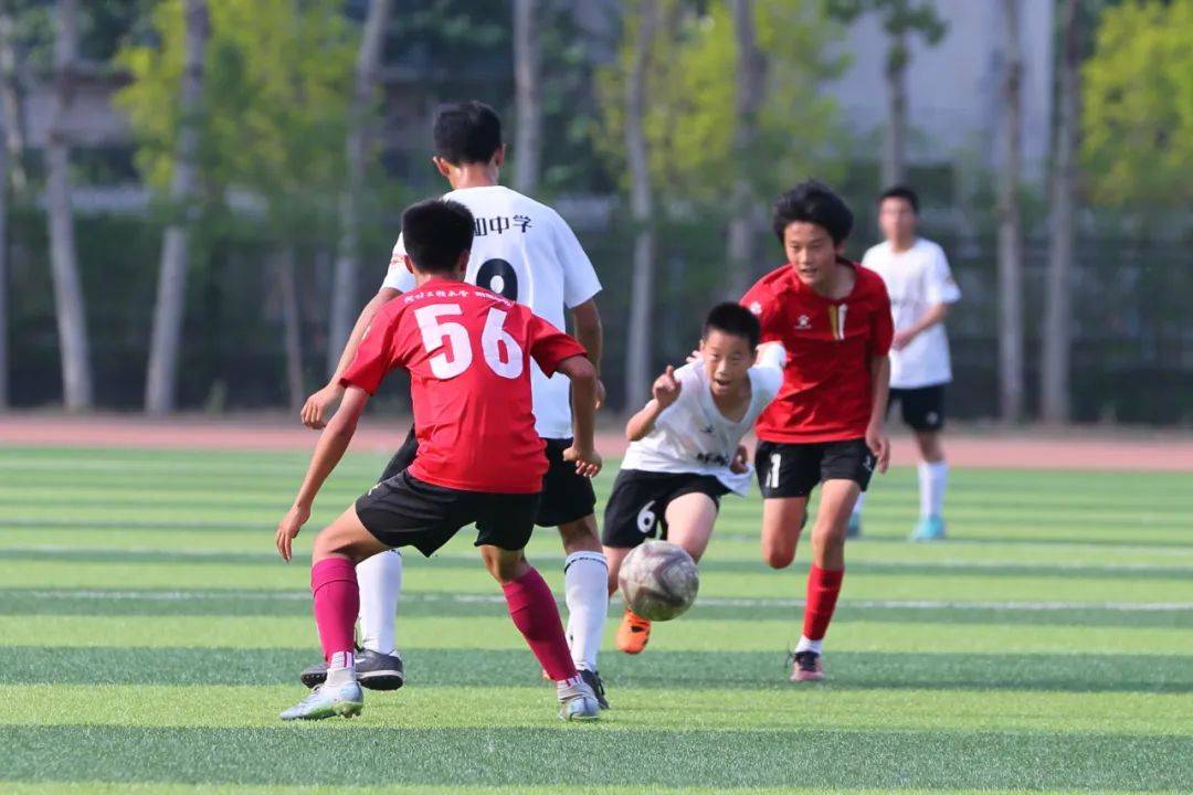 审计 审计